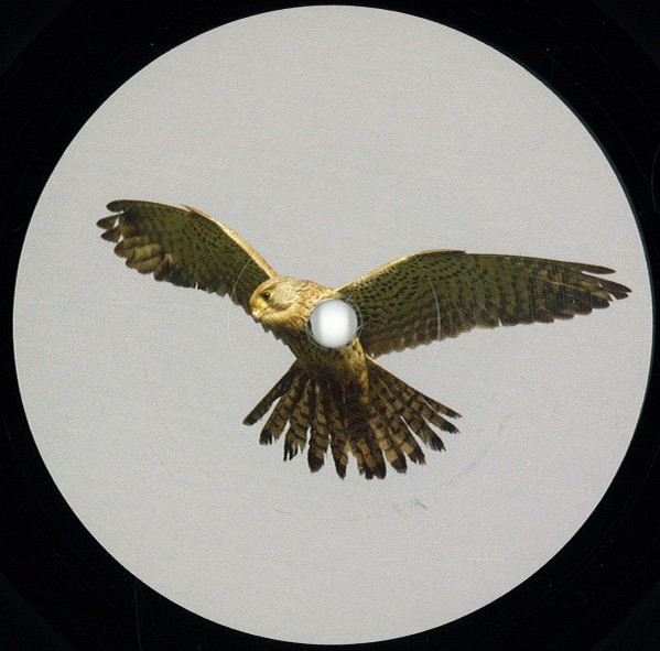 Matthias Springer / Frank Hellmond - Episode One | Turmfalke (TURMFALKE001)