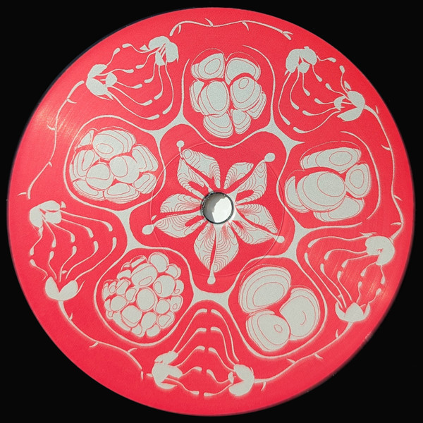 Framboisier - Planetary Vision EP | Duality Trax (DUALITY8) - 2