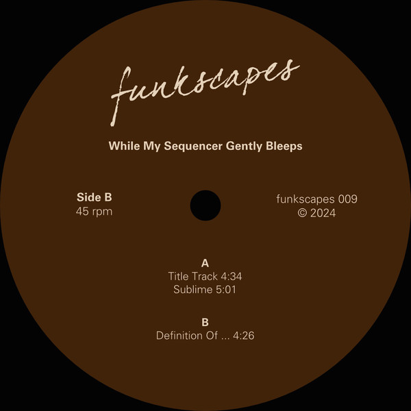 While My Sequencer Gently Bleeps - Definition Of ... | funkscapes (funkscapes 009) - 4