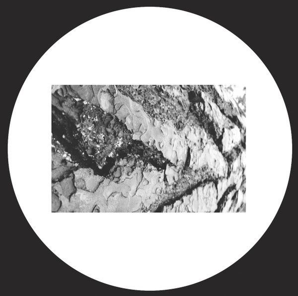 Frazer Campbell - MCMLXXVIII | .elliot.project. (.elliot.project.006) - main