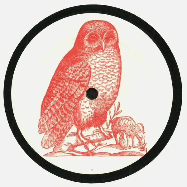 Unknown Artist - Untitled | Owl (OWL005)