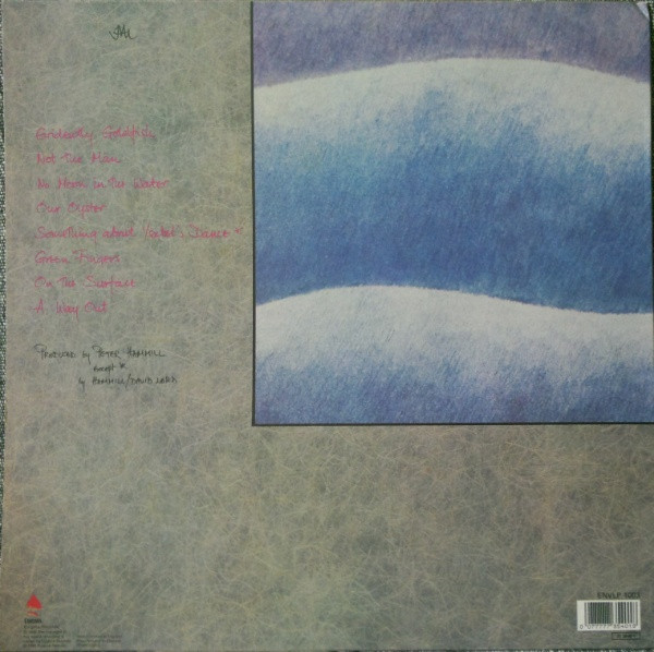 Peter Hammill - Out Of Water | Enigma (ENVLP 1003) - 2