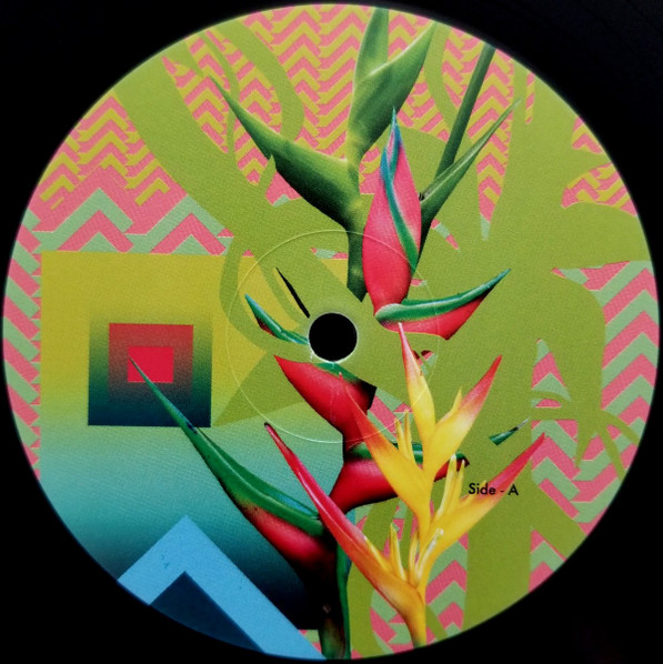 Silat Beksi - Wide Screens | Hashplant (HPR 006)
