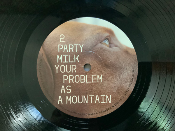 Party Milk - Your Problem as a Mountain [Vinyl] | Teenbeat (556) - 4