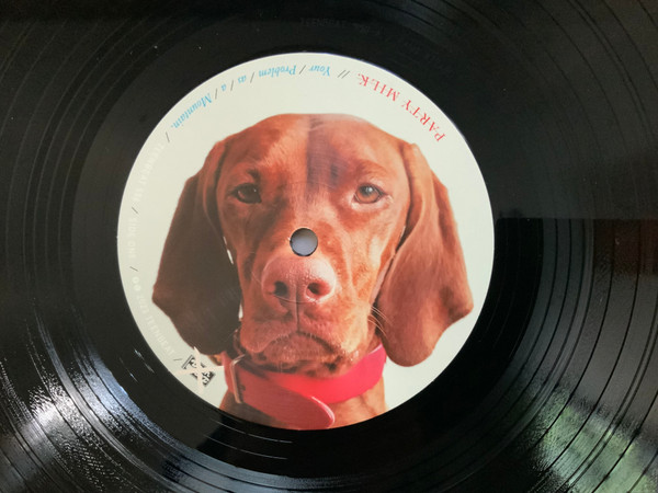 Party Milk - Your Problem as a Mountain [Vinyl] | Teenbeat (556) - 3