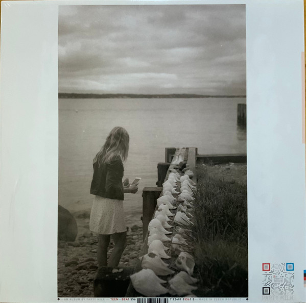 Party Milk - Your Problem as a Mountain [Vinyl] | Teenbeat (556) - 2