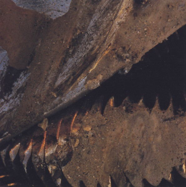 Two Lone Swordsmen - A Virus With Shoes | Warp Records (WAP126CD) - 4 Two Lone Swordsmen - A Virus With Shoes | Warp Records (WAP126CD) - 4