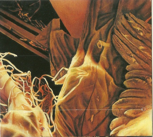 Various - Beauty In Darkness | Nuclear Blast (NB 166-2) - 4