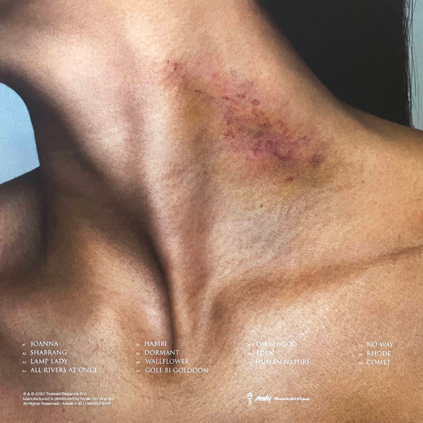 Sevdaliza - Shabrang | Music On Vinyl (MOVLP2741) - 4 Sevdaliza - Shabrang | Music On Vinyl (MOVLP2741) - 4