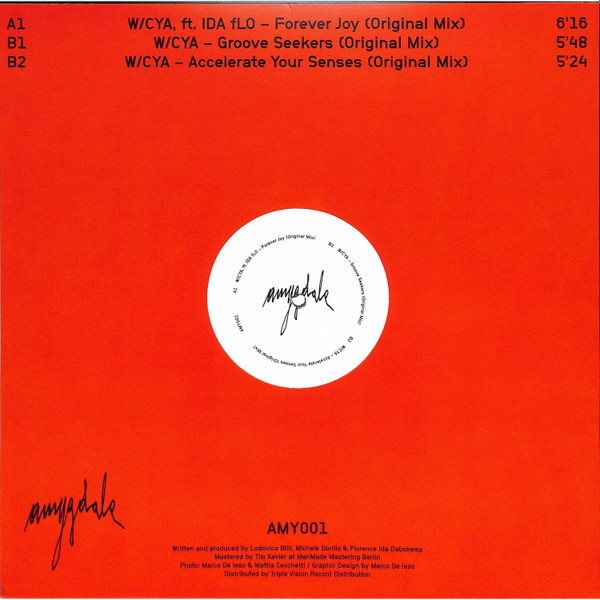 W/CYA - FOREVER JOY | Amygdala (AMY001) - 2