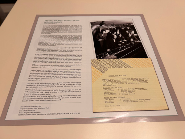 Kestrel - Kestrel | Merry Go Round (MGRL-2003S) - 4 Kestrel - Kestrel | Merry Go Round (MGRL-2003S) - 4