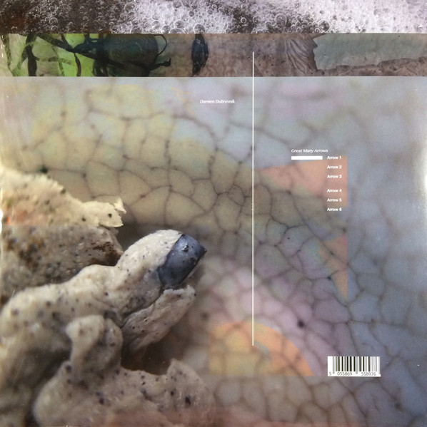 Damien Dubrovnik - Great Many Arrows | Posh Isolation (Posh Isolation 200) - 2
