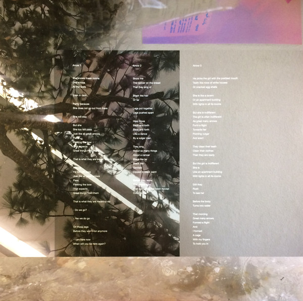 Damien Dubrovnik - Great Many Arrows | Posh Isolation (Posh Isolation 200) - 4