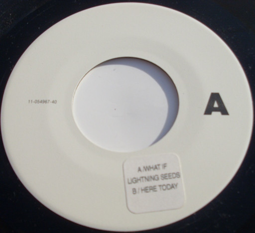Lightning Seeds - What If... | Epic (663863 00) - main
