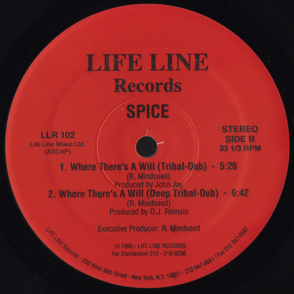 Spice - Where There's A Will | Life Line Records (LLR 102)