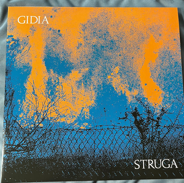 Gidia - Struga | L.I.E.S. Records (LIES-189) - main