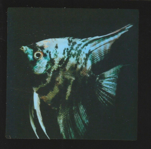 No Moon - LGS 007 | Let's Go Swimming (LGS 007) - 3