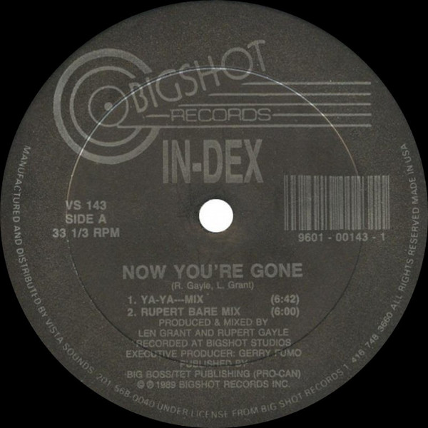 In-Dex - Now You're Gone | Bigshot Records (VS 143) - main