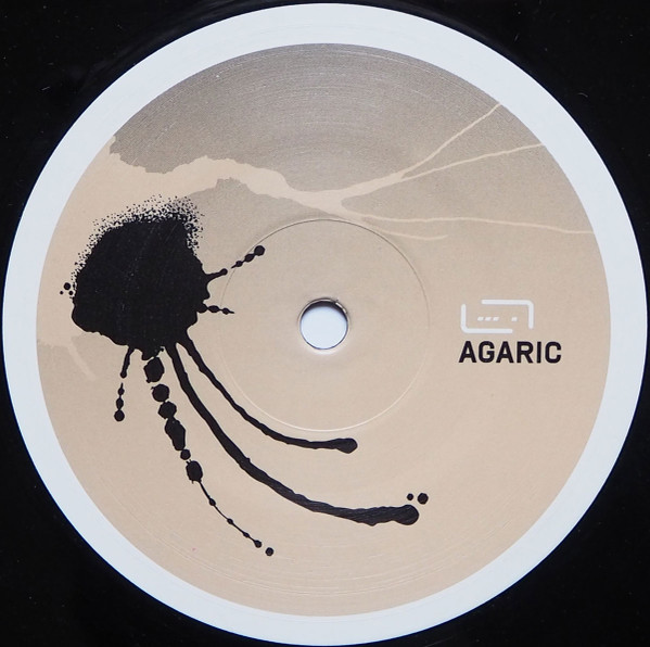 Agaric - Goose Step / C'est What? | Raum...musik (musik 063)