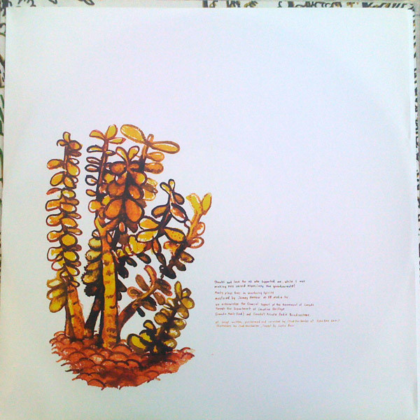 Chad VanGaalen - Diaper Island | Flemish Eye (FLCR024LP) - 3 Chad VanGaalen - Diaper Island | Flemish Eye (FLCR024LP) - 3