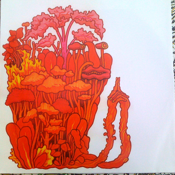 Chad VanGaalen - Diaper Island | Flemish Eye (FLCR024LP) - 4 Chad VanGaalen - Diaper Island | Flemish Eye (FLCR024LP) - 4