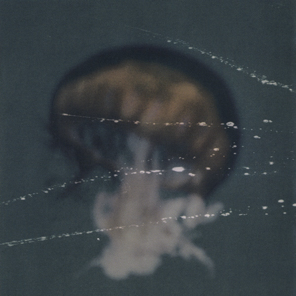 Paula Frazer - Indoor Universe | Evangeline Recorded Works (GEL 4026) - 4