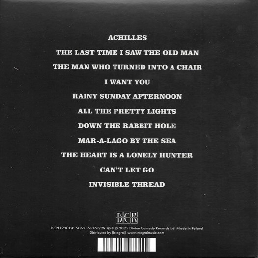 The Divine Comedy - Rainy Sunday Afternoon | Divine Comedy Records Limited (DCRL123CDX) - 2