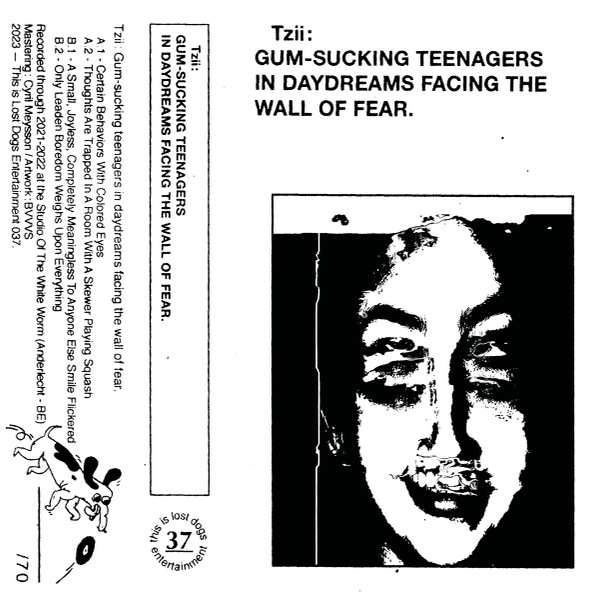 TZii - Gum-Sucking Teenagers In Daydreams Facing The Wall Of Fear | Lost Dogs Entertainment (THIS IS LOST DOGS ENTERTAINMENT 037)