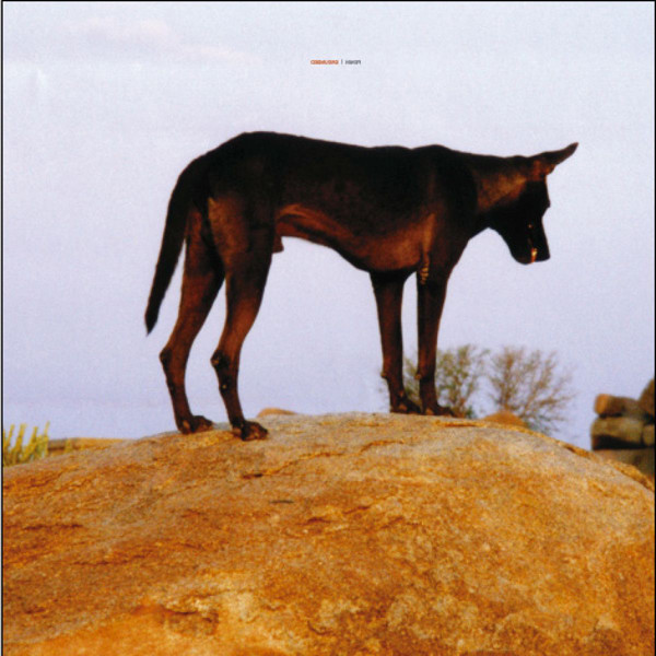 Fenin - Grounded | Shitkatapult (STRIKE58CD/2005) - 2 Fenin - Grounded | Shitkatapult (STRIKE58CD/2005) - 2