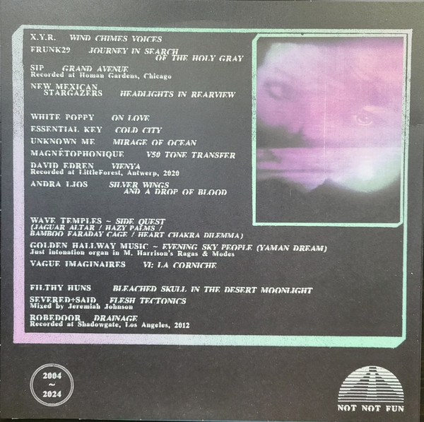 Various - Alley Of The Sun | Not Not Fun Records (NNF400) - 3 Various - Alley Of The Sun | Not Not Fun Records (NNF400) - 3