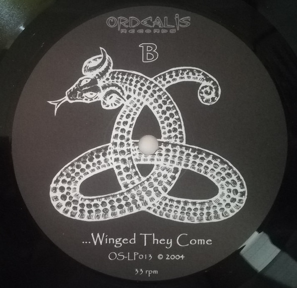 Through The Eyes Of Night... Winged They Come