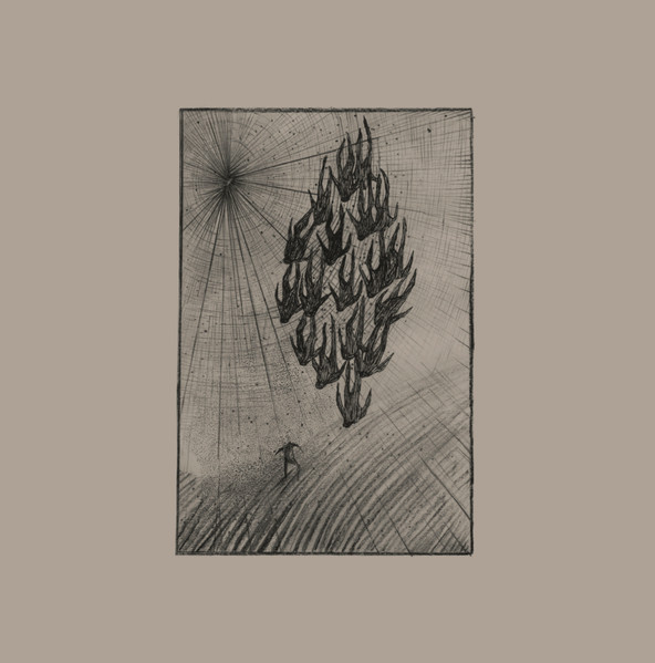 Áine O'Dwyer - Locusts | Penultimate Press (PP27) - main