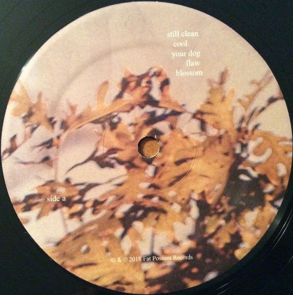 Soccer Mommy - Clean | Fat Possum Records (FP1652-1) - 3 Soccer Mommy - Clean | Fat Possum Records (FP1652-1) - 3