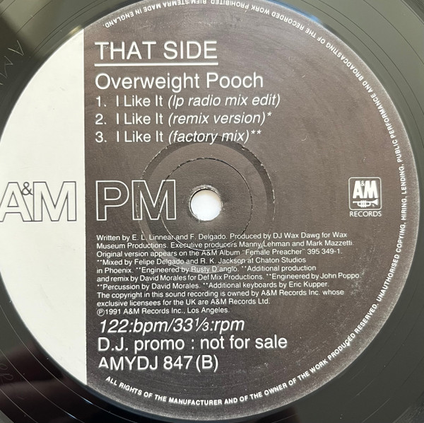 Overweight Pooch Featuring Ce Ce Peniston - I Like It | A&M PM (AMYDJ 847) - 2 Overweight Pooch Featuring Ce Ce Peniston - I Like It | A&M PM (AMYDJ 847) - 2