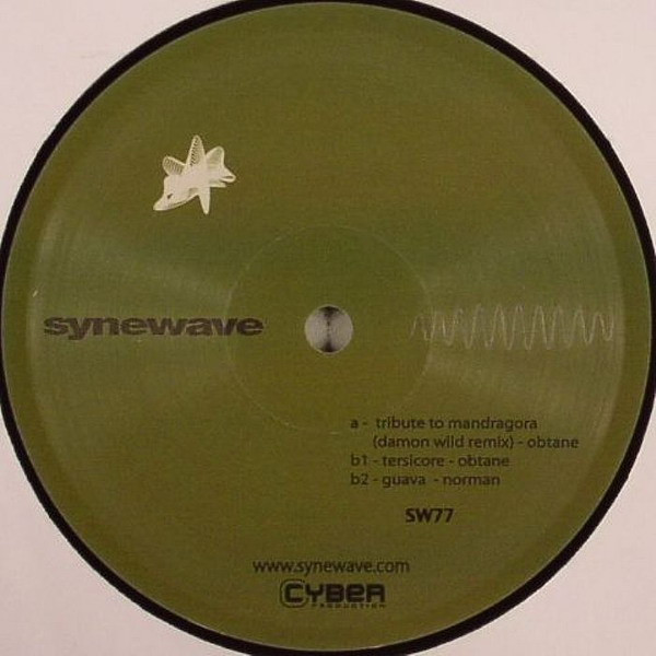 Various - Synewave Sampler Vol. 3 | Synewave (SW77) - 2
