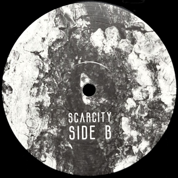 Scarcity - Aveilut | Flenser Records (FR127) - 4