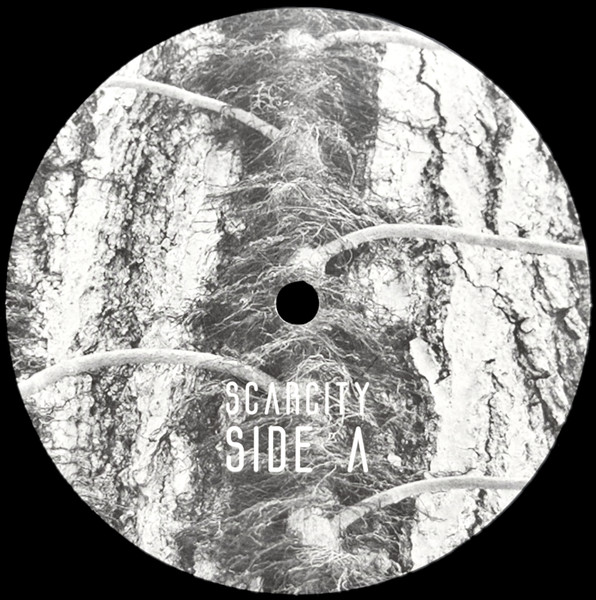 Scarcity - Aveilut | Flenser Records (FR127) - 3