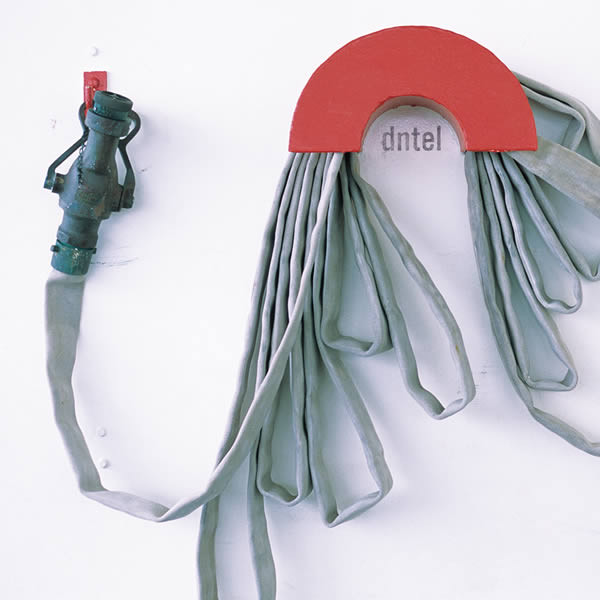 Dntel - Dumb Luck | Moshi Moshi Records (moshicd19) - main