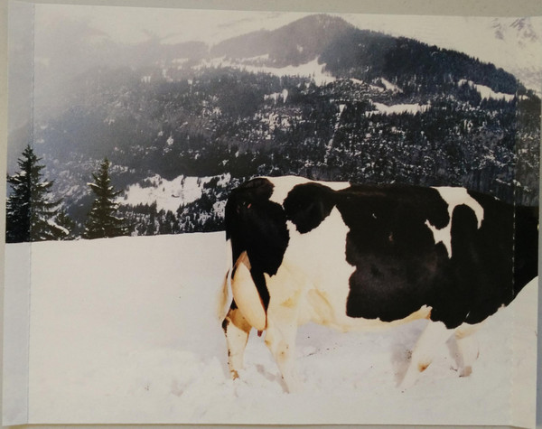 Moloko - I Am Not A Doctor | Roadrunner Records (RR 8605-2) - 4 Moloko - I Am Not A Doctor | Roadrunner Records (RR 8605-2) - 4