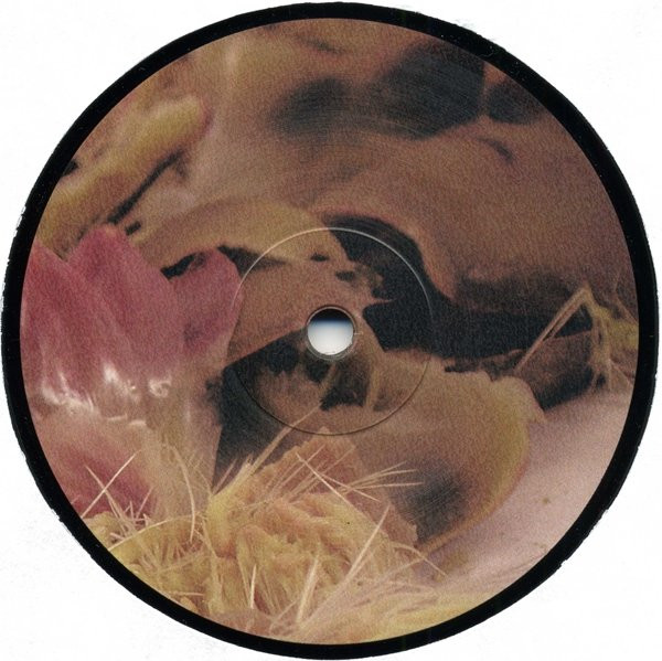 Ricardo Villalobos - Alcachofa | Playhouse (PLAY083) - 3