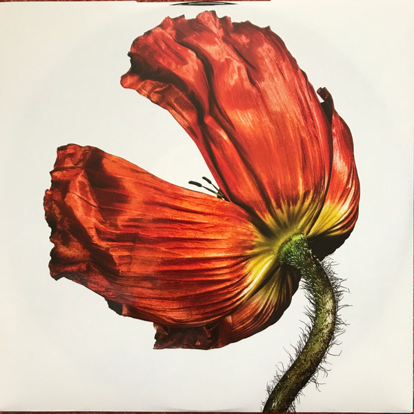 Pet Shop Boys - Release | Parlophone (0190295944049) - 3