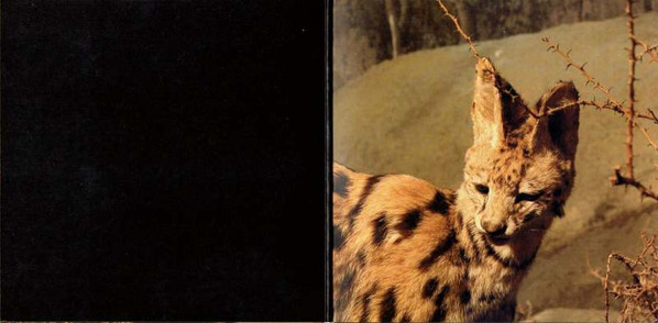Interpol - The Heinrich Maneuver | Capitol Records (CL 894) - 3 Interpol - The Heinrich Maneuver | Capitol Records (CL 894) - 3