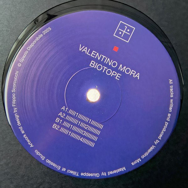 Valentino Mora - Biotope | Spazio Disponibile (SPAZIO031) - 4