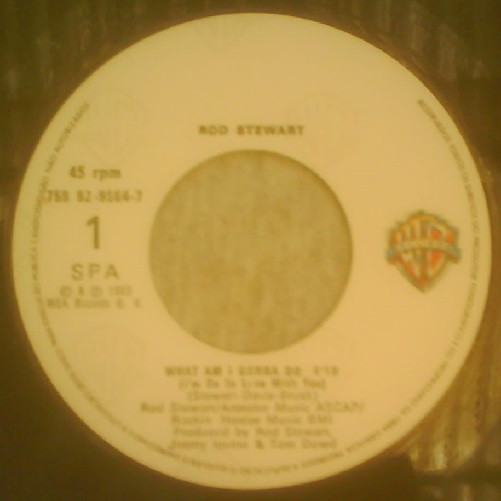 Rod Stewart - What Am I Gonna Do (I'm So In Love With You) | Warner Bros. Records (759 92-9564-7) - 3