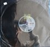 Jean-Phillippe Aviance & Taylor - Digital Discourse / Dot.com | Musicnow Records (MNR-010) - main Jean-Phillippe Aviance & Taylor - Digital Discourse / Dot.com | Musicnow Records (MNR-010) - main