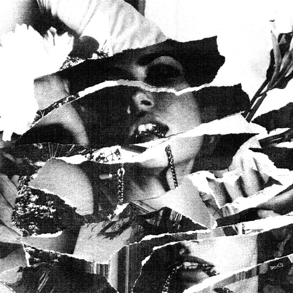 Forever Grey - Sympathy Garden | Young And Cold Records (YCR/127) - main