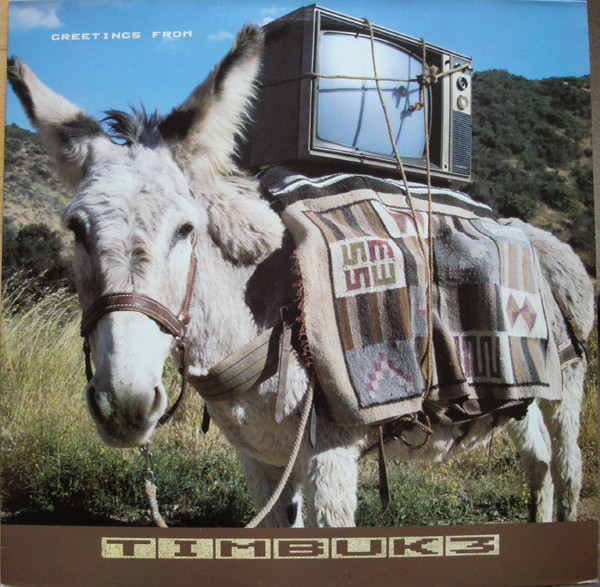 Timbuk 3 - Greetings From Timbuk 3 | I.R.S. Records (MIRF 1015)
