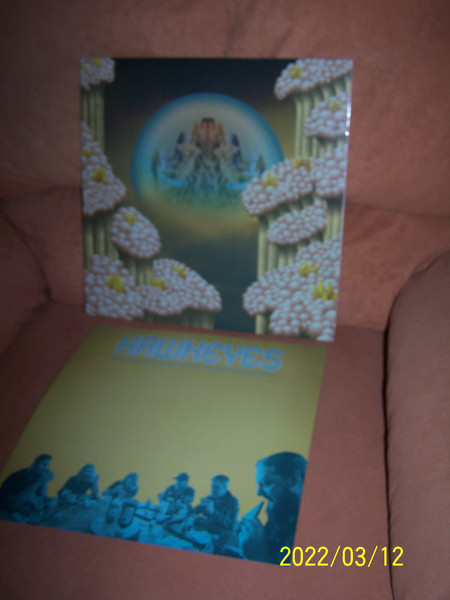 Hawkeyes - Last Light Of Future Failure LP | Cardinal Fuzz (CFUL0134) - 4 Hawkeyes - Last Light Of Future Failure LP | Cardinal Fuzz (CFUL0134) - 4