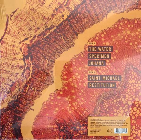 Moreton - Specimen | Create/Control (CC0001318) - 2 Moreton - Specimen | Create/Control (CC0001318) - 2