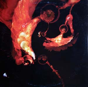Fyuti